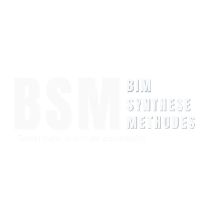 logo BSM