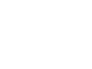 Logo Noblessa