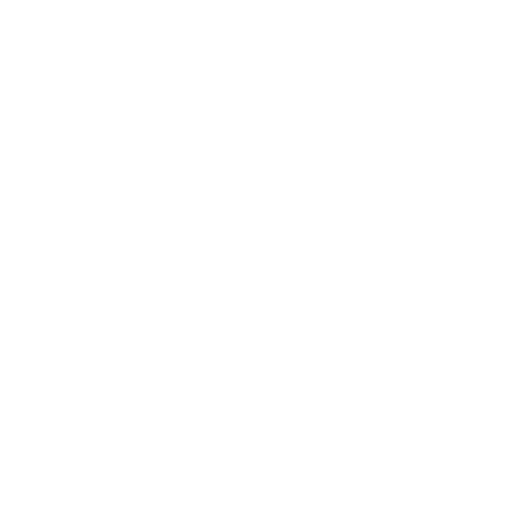 logo MS race