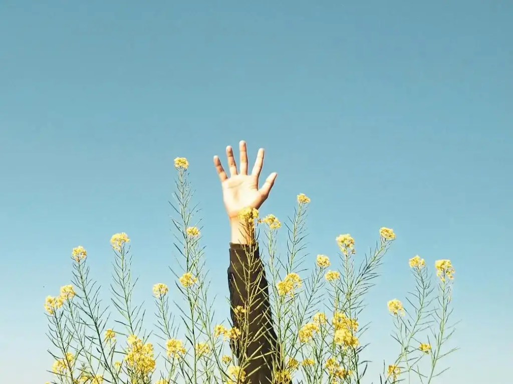 Accompagnement communication 360 sur Perpignan 